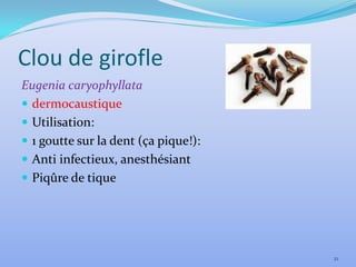Clou de girofle
Eugenia caryophyllata
 dermocaustique
 Utilisation:
 1 goutte sur la dent (ça pique!):
 Anti infectieux, anesthésiant
 Piqûre de tique




                                      21
 