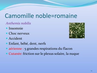 Camomille noble=romaine
Anthemis nobilis
 Insomnie
 Choc nerveux
 Accident
 Enfant, bébé, dent, nerfs
 aérienne : 5 grandes respirations du flacon
 Cutanée: friction sur le plexus solaire, la nuque



                                                      23
 