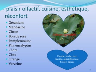 plaisir olfactif, cuisine, esthétique,
réconfort
   Géranium
   Mandarine
   Citron
                      Odeurs agréables
   Bois de rose
   Pamplemousse
   Pin, eucalyptus
   Cèdre
   Ciste                Florale, herbe, rare,
   Orange             fruitée, rafraichissante,
                            boisée, épicée
   Verveine
                                                   25
 