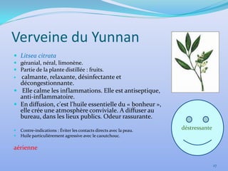 Verveine du Yunnan
 Litsea citrata
 géranial, néral, limonène.
 Partie de la plante distillée : fruits.
 calmante, relaxante, désinfectante et
  décongestionnante.
 Elle calme les inflammations. Elle est antiseptique,
  anti-inflammatoire.
 En diffusion, c'est l'huile essentielle du « bonheur »,
  elle crée une atmosphère conviviale. A diffuser au
  bureau, dans les lieux publics. Odeur rassurante.

   Contre-indications : Éviter les contacts directs avec la peau.   déstressante.
   Huile particulièrement agressive avec le caoutchouc.

aérienne

                                                                                 27
 