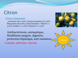 Citron
Citrus Limonum
 : Limonène (60 à 70%), Gamma terpinène (6 à 13%),
 Béta pinène (8 à 15%), Citral (Géranial + Néral) (<=
 3,0%), Linalol (<= 0,2%), Géraniol (<= 0,1%)


 Antibactérienne, antiseptique,
 fluidifiante sanguin, digestive,
 protecteur hépatique, anti-nauséeux.                   tonique
Cutanée, aérienne, interne



                                                                  29
 