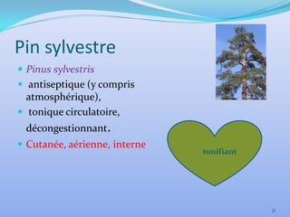 Pin sylvestre
 Pinus sylvestris
 antiseptique (y compris
  atmosphérique),
 tonique circulatoire,
  décongestionnant.
 Cutanée, aérienne, interne
                               tonifiant




                                           31
 