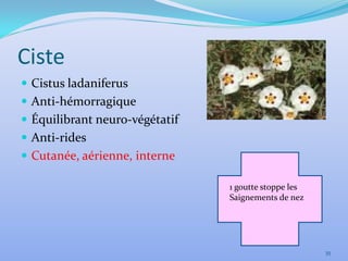 Ciste
 Cistus ladaniferus
 Anti-hémorragique
 Équilibrant neuro-végétatif
 Anti-rides
 Cutanée, aérienne, interne

                                1 goutte stoppe les
                                Saignements de nez




                                                      35
 