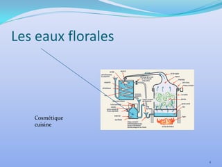 Les eaux florales




   Cosmétique
   cuisine




                    4
 