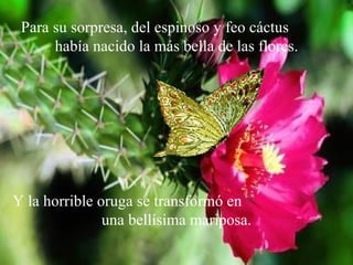 Para su sorpresa, del espinoso y feo cáctus  había nacido la más bella de las flores. Y la horrible oruga se transformó en  una bellísima mariposa. 