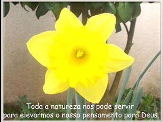 Toda a natureza nos pode servir para elevarmos o nosso pensamento para Deus.