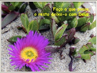 Faço o que posso, o resto deixo-o com Deus.