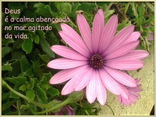 Deus é a calma abençoadano mar agitado da vida.