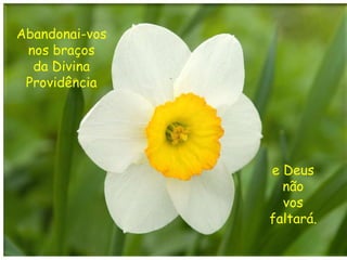 Abandonai-vos nos braços da Divina Providência e Deus não vos faltará.