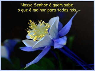 Nosso Senhor é quem sabe o que é melhor para todos nós.
