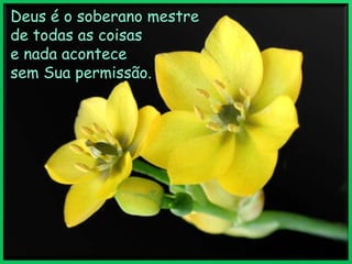 Deus é o soberano mestre de todas as coisas e nada acontece sem Sua permissão. 
