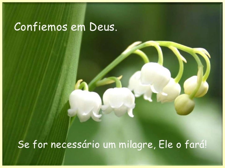 f-e-confiana-em-deus-2-728.jpg