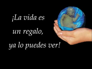 ¡La vida es
un regalo,
ya lo puedes ver!

 