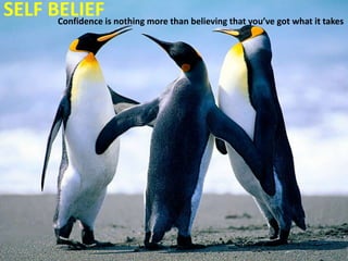 SELF BELIEFis nothing more than believing that you’ve got what it takes
      Confidence
 