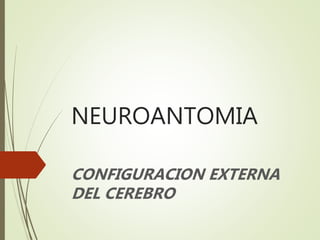 NEUROANTOMIA
CONFIGURACION EXTERNA
DEL CEREBRO
 
