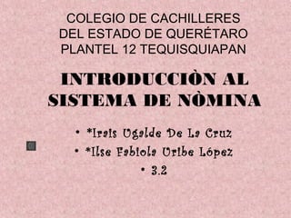 COLEGIO DE CACHILLERES
DEL ESTADO DE QUERÉTARO
PLANTEL 12 TEQUISQUIAPAN
INTRODUCCIÒN AL
SISTEMA DE NÒMINA
• *Irais Ugalde De La Cruz
• *Ilse Fabiola Uribe López
• 3.2
 