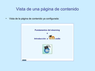 Vista de una página de contenido
• Vista de la página de contenido ya configurada:
 