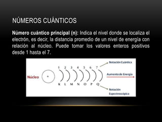 NÚMEROS CUÁNTICOS 
Número cuántico principal (n): Indica el nivel donde se localiza el 
electrón, es decir, la distancia promedio de un nivel de energía con 
relación al núcleo. Puede tomar los valores enteros positivos 
desde 1 hasta el 7. 
 