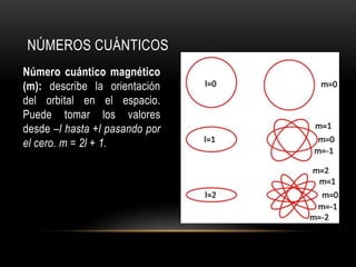 NÚMEROS CUÁNTICOS 
Número cuántico magnético 
(m): describe la orientación 
del orbital en el espacio. 
Puede tomar los valores 
desde –l hasta +l pasando por 
el cero. m = 2l + 1. 
 