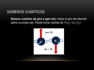NÚMEROS CUÁNTICOS 
Número cuántico de giro o spin (m): indica el giro del electrón 
sobre su propio eje. Puede tomar valores de +½ y –½. (↑↓) 
 