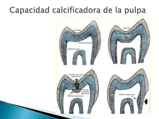 Configuración interna