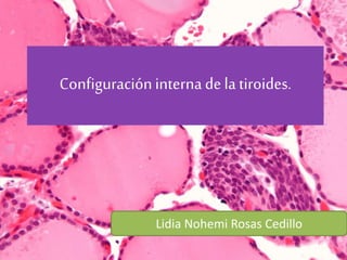 Configuracióninternadela tiroides.
Lidia Nohemi Rosas Cedillo
 