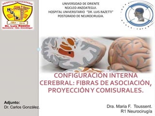 Dra. Maria F. Toussent.
R1 Neurocirugía
UNIVERSIDAD DE ORIENTE
NÙCLEO ANZOATEGUI.
HOSPITAL UNIVERSITARIO “DR. LUIS RAZETTI”
POSTGRADO DE NEUROCIRUGIA.
Adjunto:
Dr. Carlos González.
CONFIGURACIÓN INTERNA
CEREBRAL: FIBRAS DE ASOCIACIÓN,
PROYECCIÓNY COMISURALES.
 