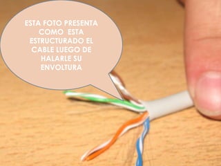 ESTA FOTO PRESENTA COMO  ESTA ESTRUCTURADO EL CABLE LUEGO DE HALARLE SU ENVOLTURA