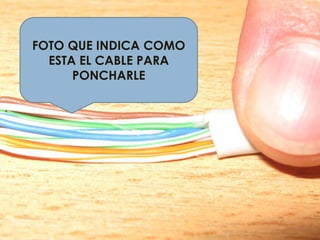 FOTO QUE INDICA COMO ESTA EL CABLE PARA PONCHARLE