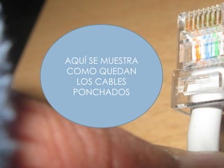 AQUÍ SE MUESTRA COMO QUEDAN LOS CABLES PONCHADOS