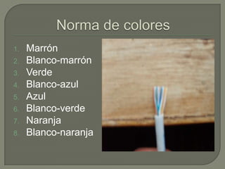 Configuracionde La Red En Cent Os