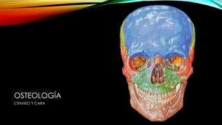 OSTEOLOGÍA
CRANEO Y CARA
 