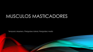 MUSCULOS MASTICADORES
Temporal, Masetero, Pterigoideo lateral, Pterigoideo medio
 