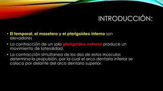 • El temporal, el masetero y el pterigoideo interno son
elevadores
• La contracción de un solo pterigoideo externo produce un
movimiento de lateralidad.
• La contracción simultanea de los dos de estos músculos
determina la propulsión, por la cual el arco dentario inferior se
coloca por delante del arco dentario superior.
INTRODUCCIÓN:
 