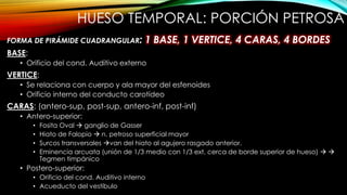 HUESO TEMPORAL: PORCIÓN PETROSA
FORMA DE PIRÁMIDE CUADRANGULAR: 1 BASE, 1 VERTICE, 4 CARAS, 4 BORDES
BASE:
• Orificio del cond. Auditivo externo
VERTICE:
• Se relaciona con cuerpo y ala mayor del esfenoides
• Orificio interno del conducto carotídeo
CARAS: (antero-sup, post-sup, antero-inf, post-inf)
• Antero-superior:
• Fosita Oval  ganglio de Gasser
• Hiato de Falopio  n. petroso superficial mayor
• Surcos transversales van del hiato al agujero rasgado anterior.
• Eminencia arcuata (unión de 1/3 medio con 1/3 ext, cerca de borde superior de hueso)  
Tegmen timpánico
• Postero-superior:
• Orificio del cond. Auditivo interno
• Acueducto del vestíbulo
 