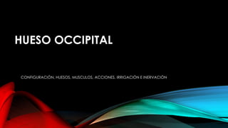 HUESO OCCIPITAL
CONFIGURACIÓN, HUESOS, MUSCULOS, ACCIONES, IRRIGACIÓN E INERVACIÓN
 