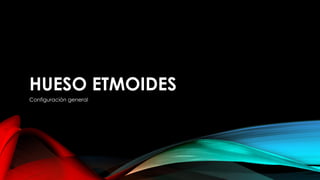 HUESO ETMOIDES
Configuración general
 