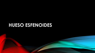 HUESO ESFENOIDES
 