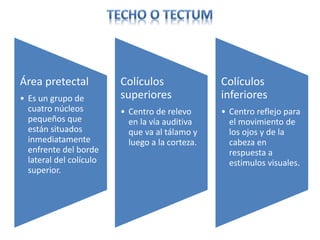 Área pretectal
• Es un grupo de
cuatro núcleos
pequeños que
están situados
inmediatamente
enfrente del borde
lateral del colículo
superior.
Colículos
superiores
• Centro de relevo
en la vía auditiva
que va al tálamo y
luego a la corteza.
Colículos
inferiores
• Centro reflejo para
el movimiento de
los ojos y de la
cabeza en
respuesta a
estimulos visuales.
 