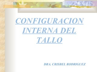 CONFIGURACION
INTERNA DEL
TALLO
DRA. CRISBEL RODRIGUEZ
 