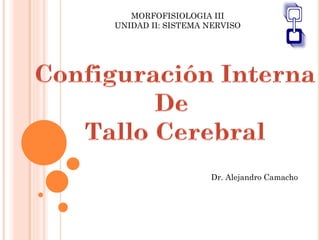 Dr. Alejandro Camacho
MORFOFISIOLOGIA III
UNIDAD II: SISTEMA NERVISO
 