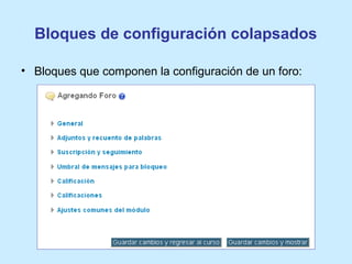 Bloques de configuración colapsados
• Bloques que componen la configuración de un foro:
 