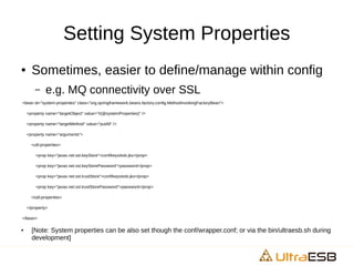 Setting System Properties
● Sometimes, easier to define/manage within config
– e.g. MQ connectivity over SSL
<bean id="system-properties" class="org.springframework.beans.factory.config.MethodInvokingFactoryBean">
<property name="targetObject" value="#{@systemProperties}" />
<property name="targetMethod" value="putAll" />
<property name="arguments">
<util:properties>
<prop key="javax.net.ssl.keyStore">conf/keys/esb.jks</prop>
<prop key="javax.net.ssl.keyStorePassword">password</prop>
<prop key="javax.net.ssl.trustStore">conf/keys/esb.jks</prop>
<prop key="javax.net.ssl.trustStorePassword">password</prop>
</util:properties>
</property>
</bean>
● [Note: System properties can be also set though the conf/wrapper.conf; or via the bin/ultraesb.sh during
development]
 
