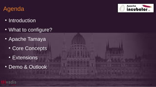 Agenda
4
●
Introduction
●
What to configure?
●
Apache Tamaya
●
Core Concepts
●
Extensions
●
Demo & Outlook
 