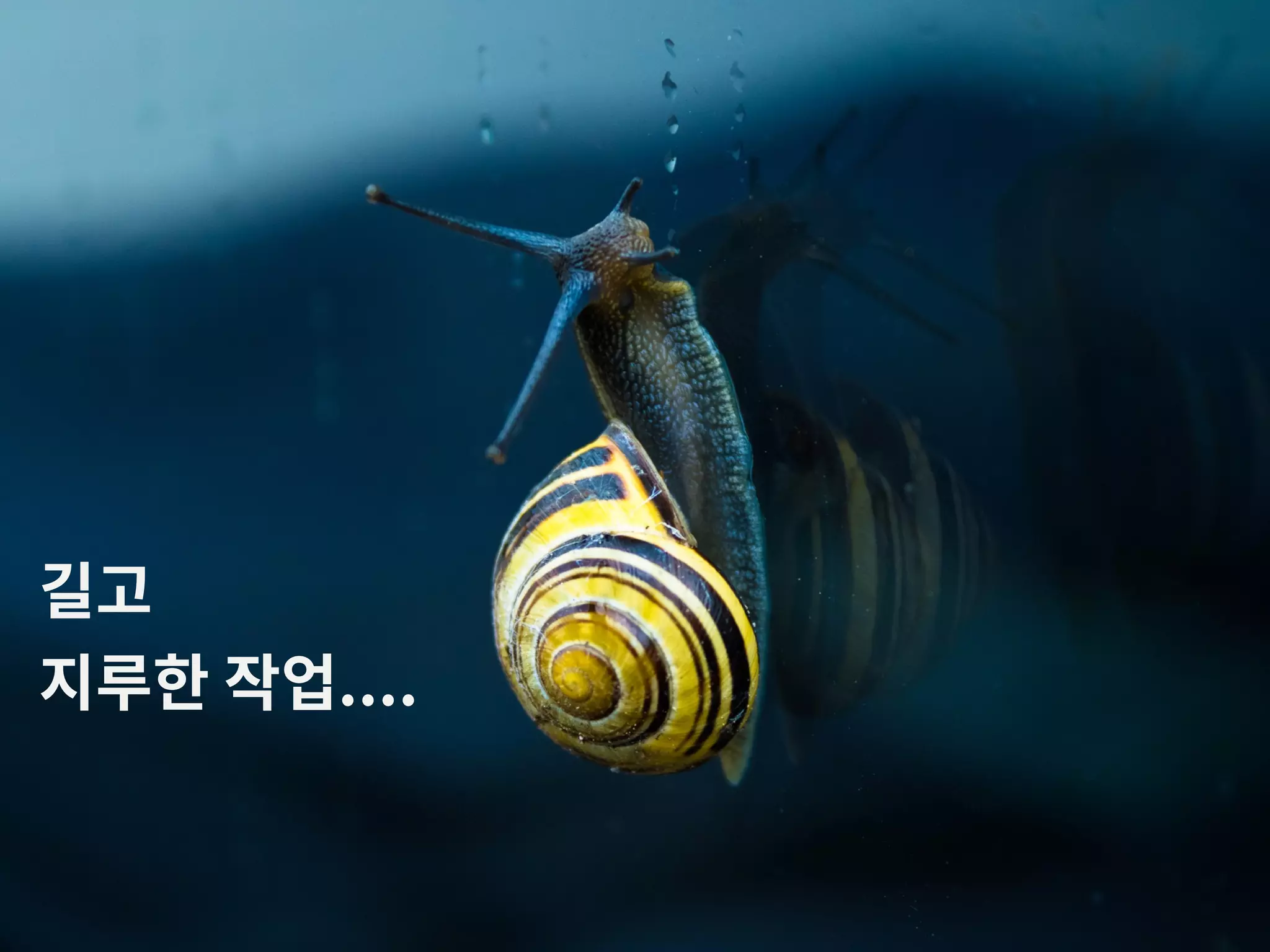 길고 지루한 작업.... 