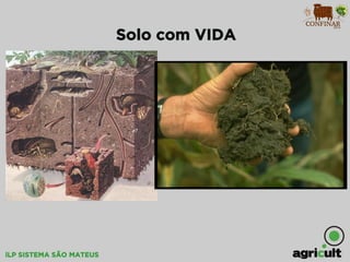 iLP SISTEMA SÃO MATEUS
Solo com VIDA
 