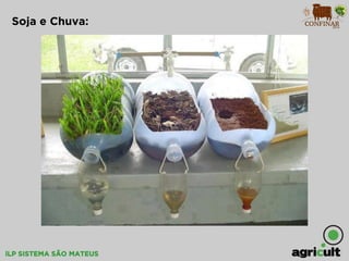 iLP SISTEMA SÃO MATEUS
Soja e Chuva:
 