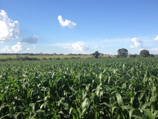 iLP SISTEMA SÃO MATEUS
 