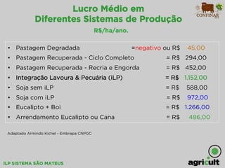iLP SISTEMA SÃO MATEUS
Lucro Médio em
Diferentes Sistemas de Produção
R$/ha/ano.
•  Pastagem Degradada =negativo ou R$ 45,00
•  Pastagem Recuperada - Ciclo Completo = R$ 294,00
•  Pastagem Recuperada - Recria e Engorda = R$ 452,00
•  Integração Lavoura & Pecuária (iLP) = R$ 1.152,00
•  Soja sem iLP = R$ 588,00
•  Soja com iLP = R$ 972,00
•  Eucalipto + Boi = R$ 1.266,00
•  Arrendamento Eucalipto ou Cana = R$ 486,00
Adaptado Armindo Kichel - Embrapa CNPGC
 