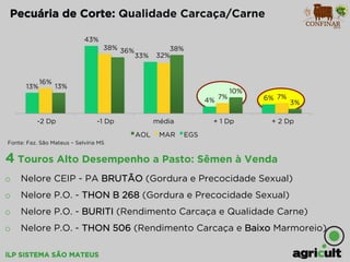 iLP SISTEMA SÃO MATEUS
Fonte: Faz. São Mateus – Selvíria MS
3%
10%
38%36%
13%
7%7%
32%
38%
16%
6%4%
33%
43%
13%
+ 2 Dp+ 1 Dpmédia-1 Dp-2 Dp
AOL MAR EGS
Pecuária de Corte: Qualidade Carcaça/Carne
4 Touros Alto Desempenho a Pasto: Sêmen à Venda
o  Nelore CEIP - PA BRUTÃO (Gordura e Precocidade Sexual)
o  Nelore P.O. - THON B 268 (Gordura e Precocidade Sexual)
o  Nelore P.O. - BURITI (Rendimento Carcaça e Qualidade Carne)
o  Nelore P.O. - THON 506 (Rendimento Carcaça e Baixo Marmoreio)
 